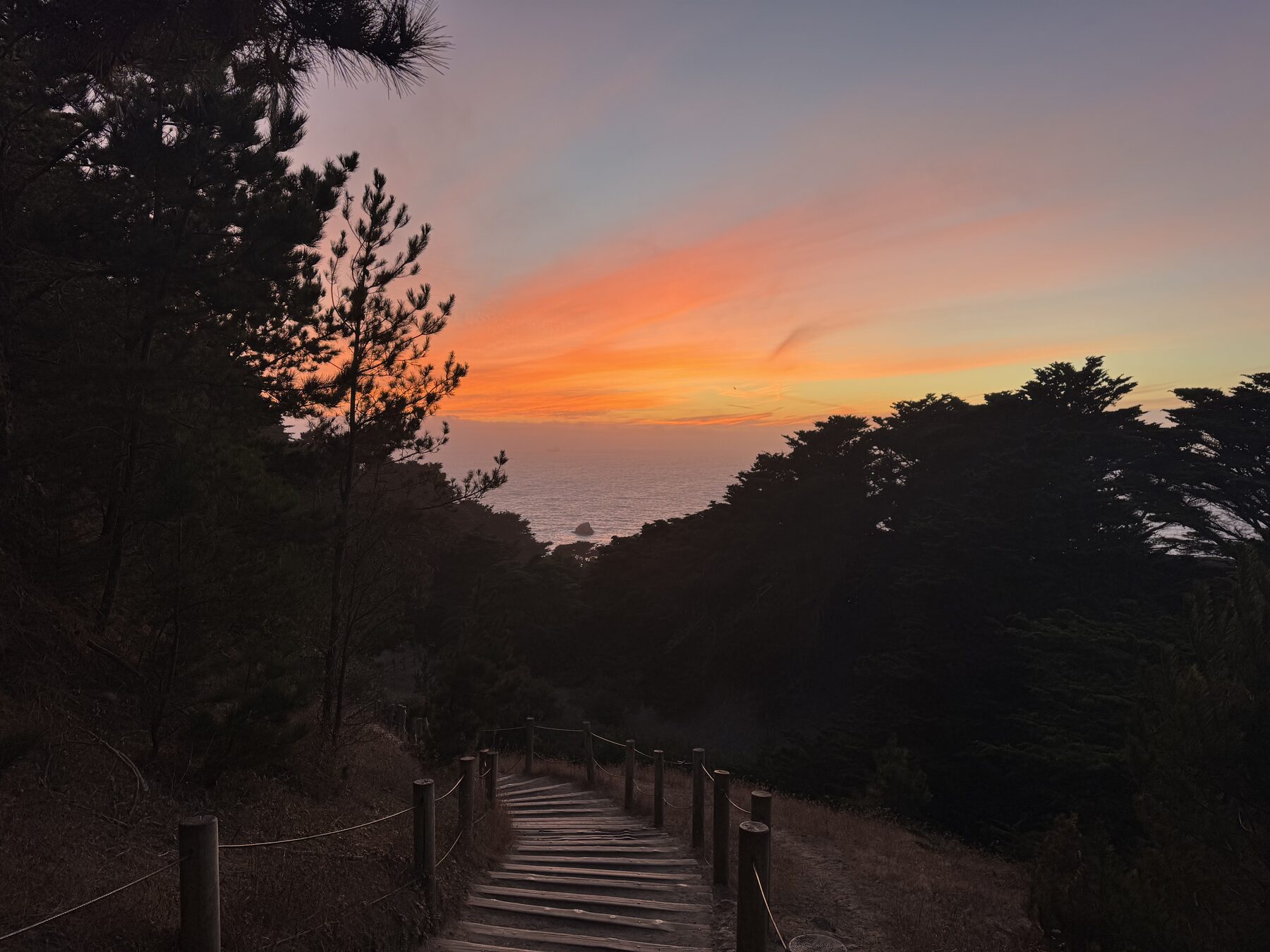 Sunset above a wooded coastal stairway.