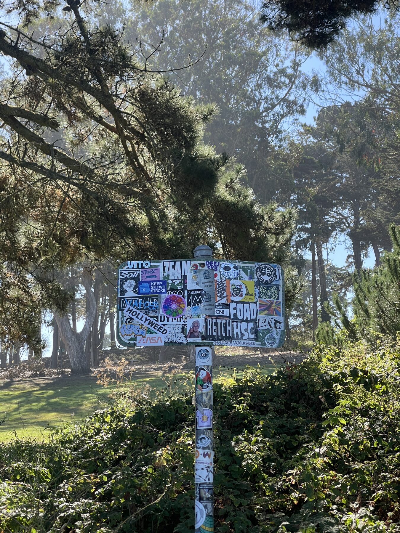 A colorful sign beneath the trees.