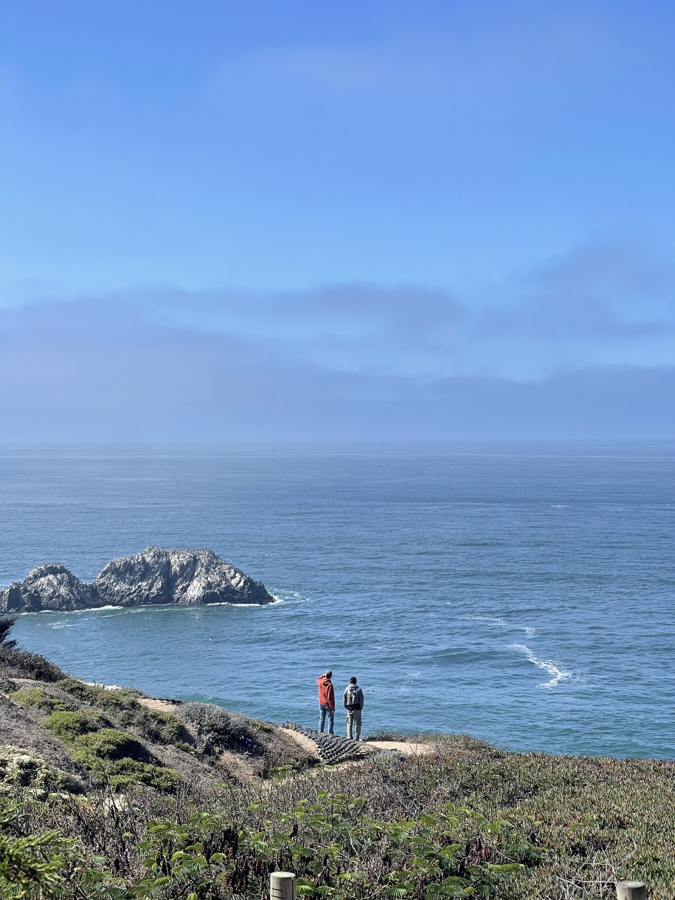 Walkers looking out over the rocky coastline.