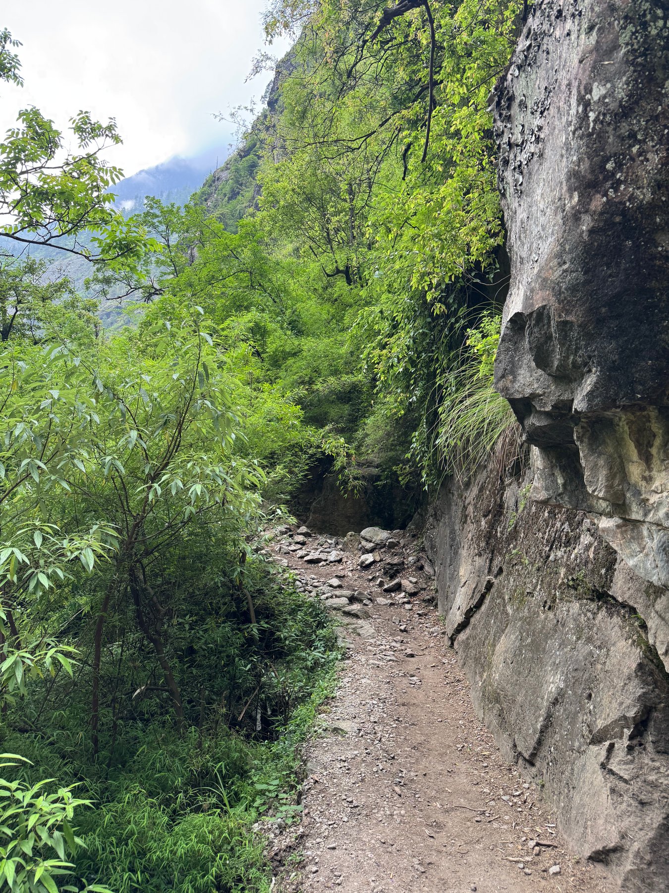 A narrow path cut into the rock.