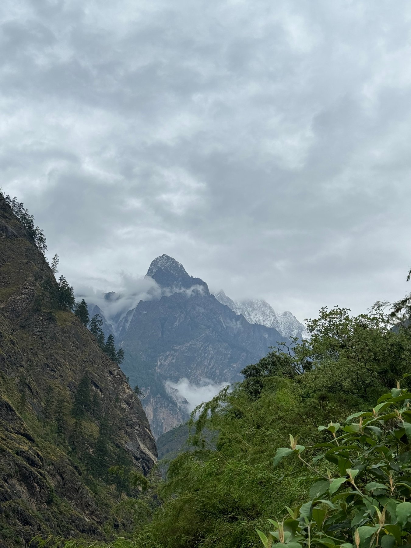 A glimpse of the peaks through the forest.