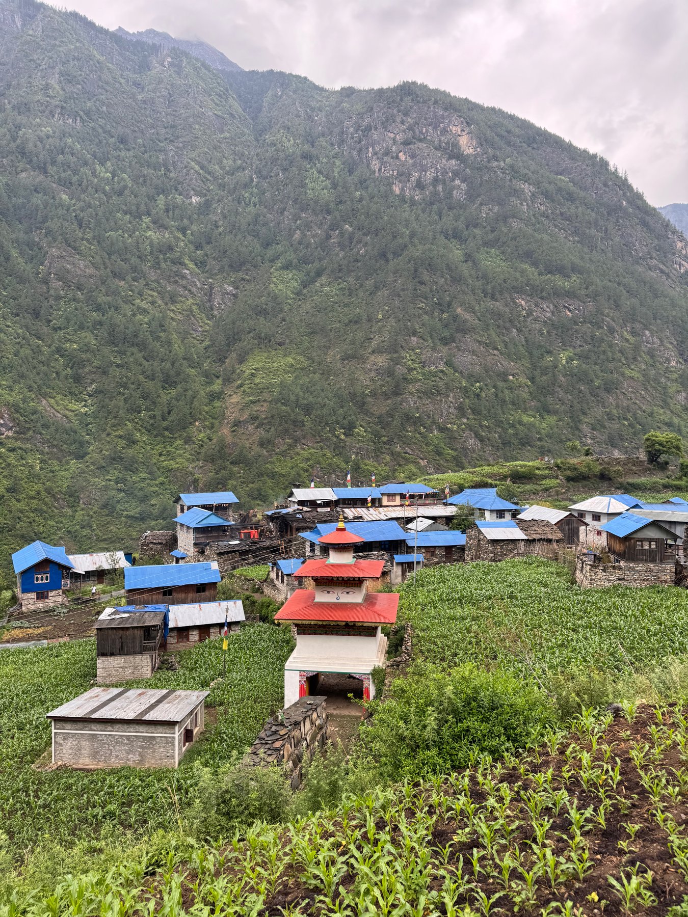 Blue-roofed houses and a village shrine.