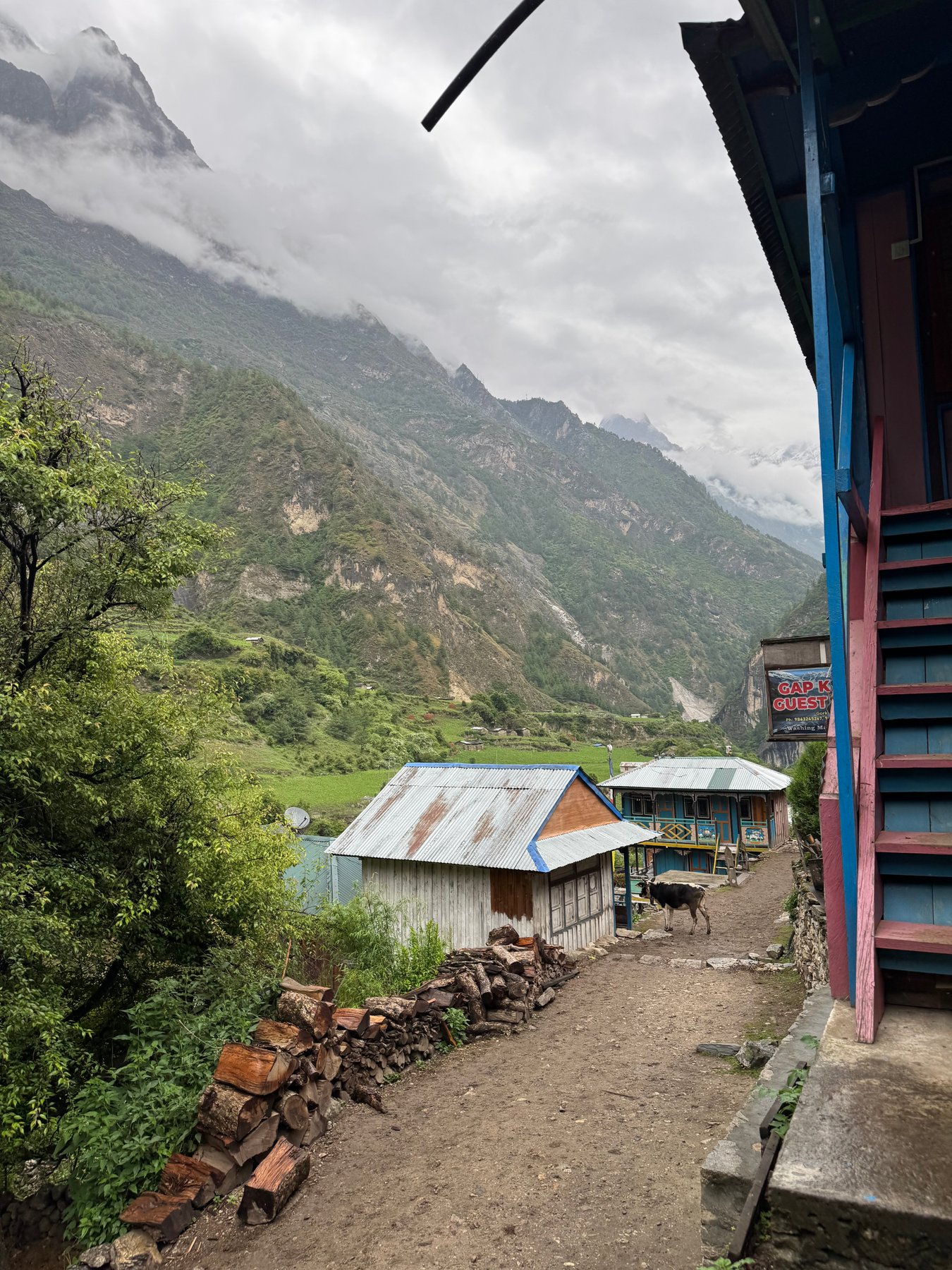 A quiet path between the lodges.