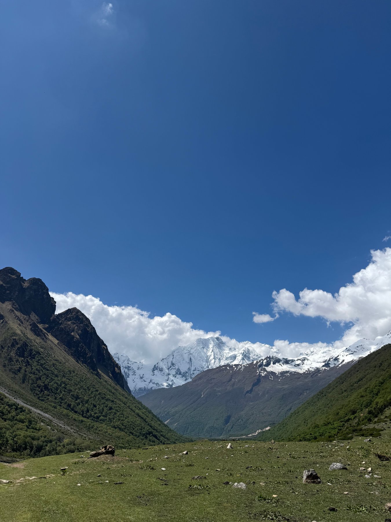 Open grassland and snowy peaks ahead.