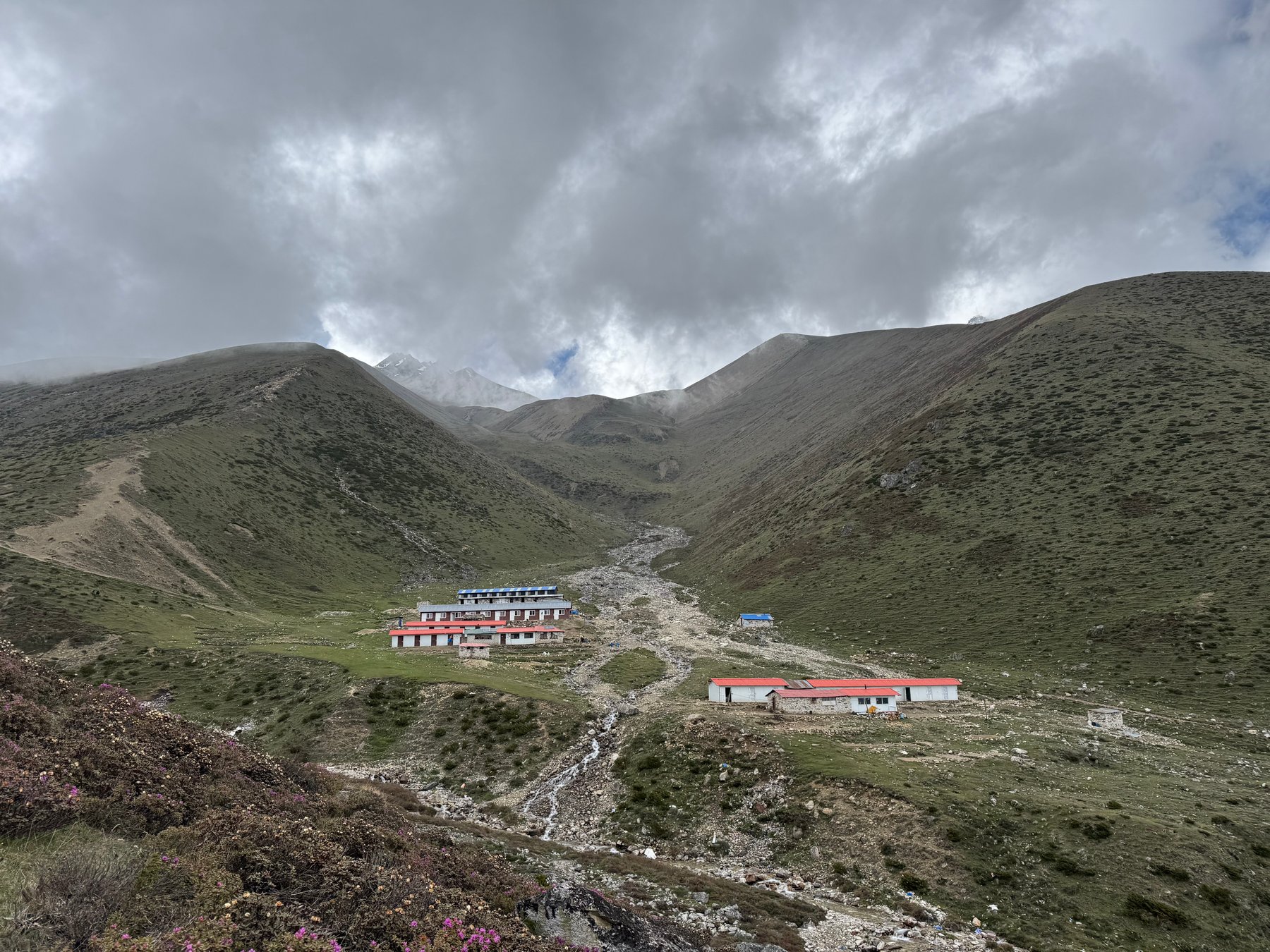 The lodges at Dharamsala.